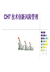 CH8 技术创新风险管理