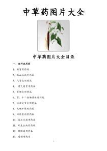 中草药彩色图片大全