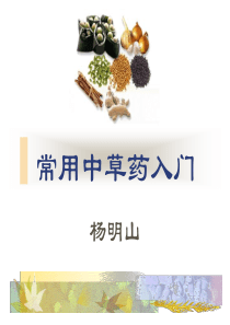 中药中级教学资料常用中草药入门