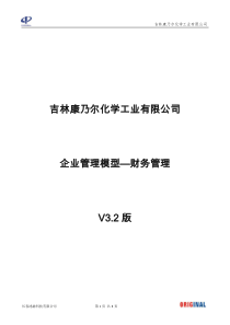 吉林康乃尔化学工业有限公司企业管理模型V32版--01财务--张兴民改