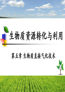 生物质资源转化与利用-第五章-生物质直接气化技术