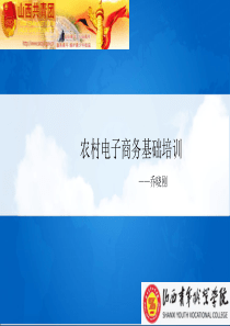 电子商务培训讲稿——农村电子商务