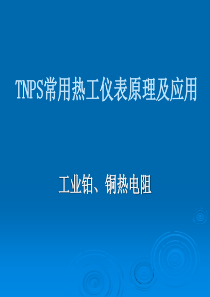 TNPS常用热工仪表原理及应用-热电阻检定