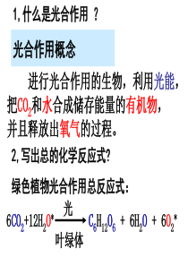 生态系统中的生产量和生物量(上课时使用)