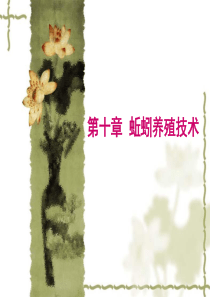 蚯蚓养殖