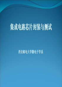 第1章集成电路芯片封装技术概述精品文档