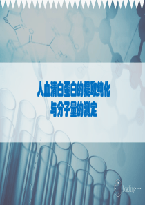 人血清白蛋白的提取纯化和分子量测定