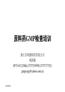 原料药GMP检查培训--杨国栋