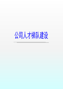 公司人才梯队建设