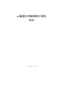 某公司能源审计报告