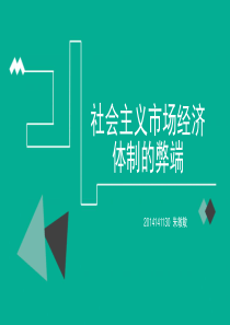 社会主义市场经济体制的弊端资料