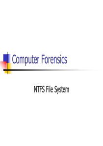 NTFS 文件系统