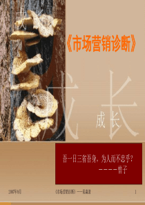 第七章 价格策略诊断