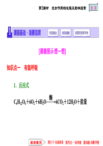 呼吸作用与光合作用的过程及影响因素