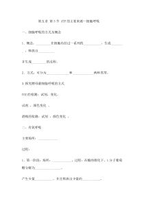 呼吸作用知识点