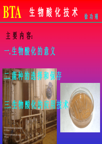 啤酒展览会上的资料-BTA生物酸化技术(2)