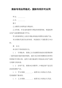 商标专利合同格式：国际专利许可合同