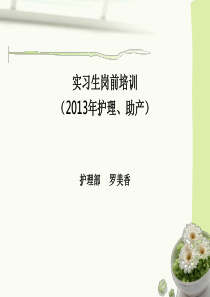 2013实习生岗前培训课件