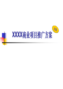 XX商业项目推广方案