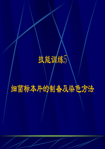 细菌标本片的制备及染色方法