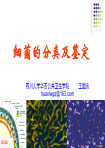 细菌的分类及鉴定