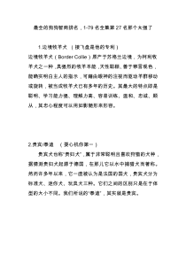 最全的狗狗智商排名1-79名全集第27名那个太强了