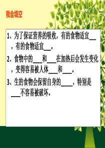 最新科教版四年级科学《面包发霉了》