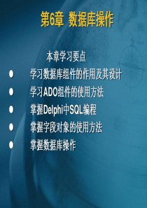 《数据库应用技术――Delphi应用系统开发》-第六章