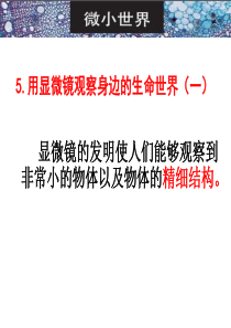 用显微镜观察身边的生命世界一