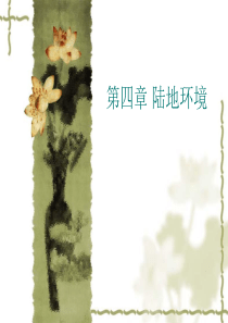 第四章陆地环境