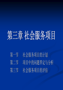 第三章社会服务项目(计划、问题界定和评估)