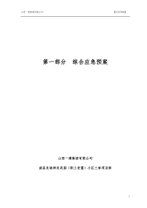 综合、专项应急预案、现场处置方案(全)