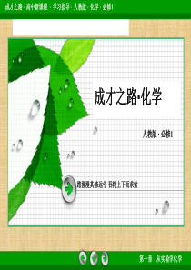 2013-2014学年高一化学必修1课件：物质的量的单位―摩尔