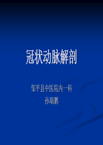 55冠状动脉解剖