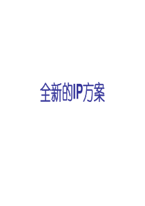 2010全新的IP方案