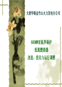 低氮改造与运行优化调整