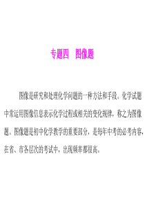 2013级河南省中考化学复习课件题型精讲最后冲刺1实验专题四_图像题1