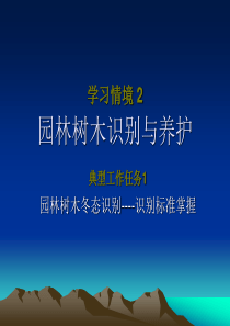 园林树木的冬态识别