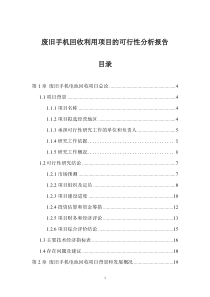 项目可行性分析报告