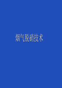 88烟气脱硝技术培训资料