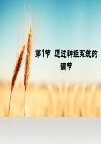 通过神经系统的调节PPT (1)