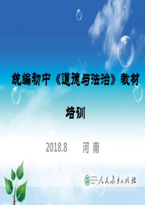 部编道德与法治九年级下册教材培训课件(共87张PPT)