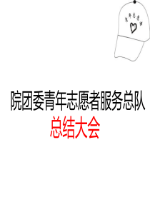 志愿者总结PPT