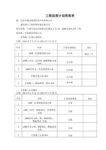 工程进度计划周报表