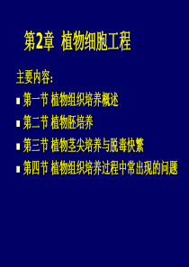 植物组织培养技术在农业中应用