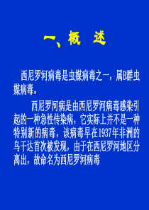 西尼罗河病毒感染