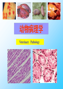 动物病理学绪论