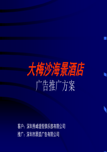 大梅沙海景酒店定(1)