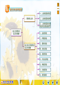 幼儿运动系统生理特点及卫生保健 -