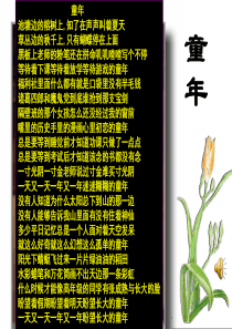 《社戏》讲课课件(公开课优质课件).解读